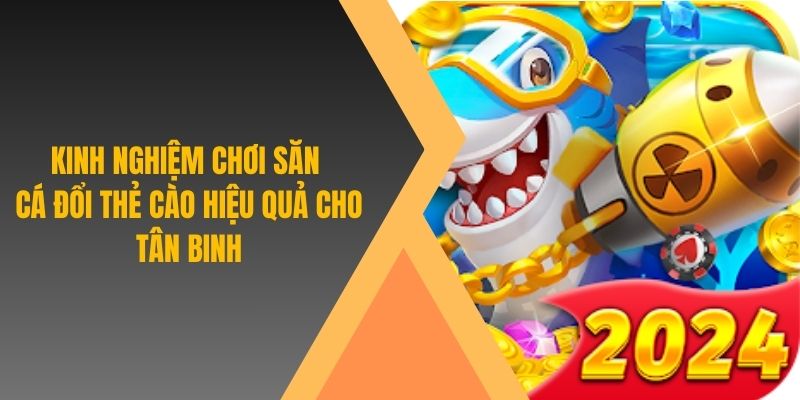 Kinh nghiệm chơi săn cá đổi thẻ cào hiệu quả cho tân binh