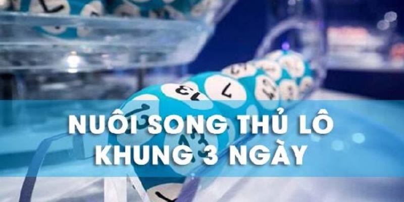 Nuôi song thủ lô khung 3 ngày có ưu nhược điểm là gì?